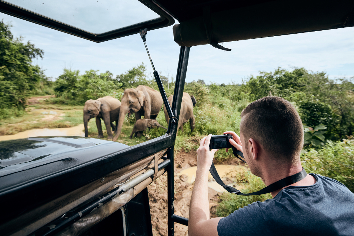 safari photo