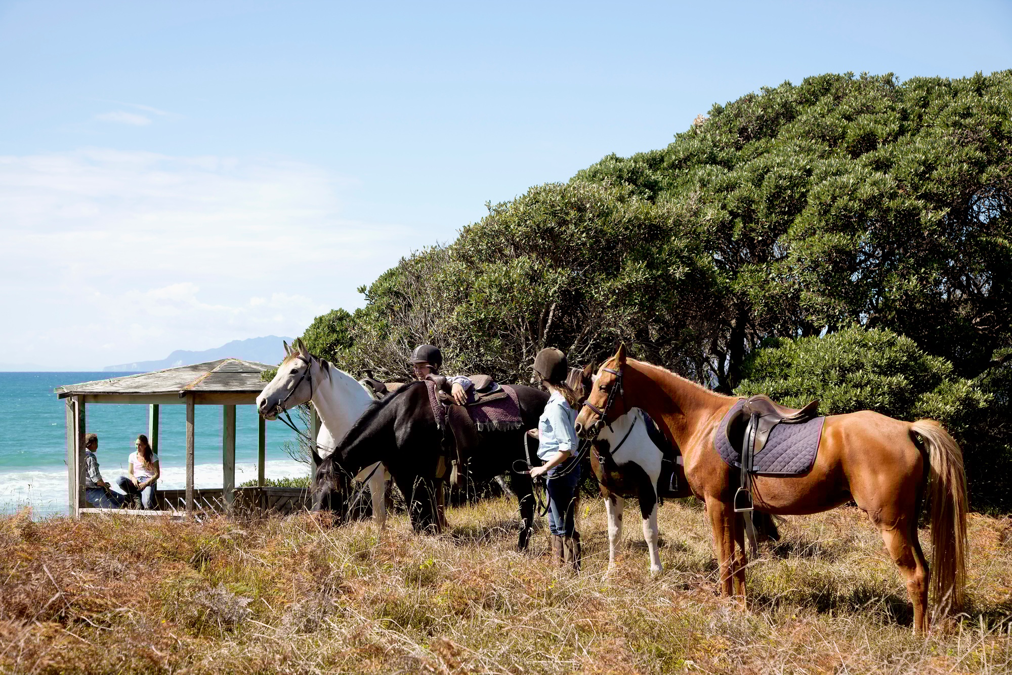 Horse riding, Pakiri Beach, Auckland, New Zealand