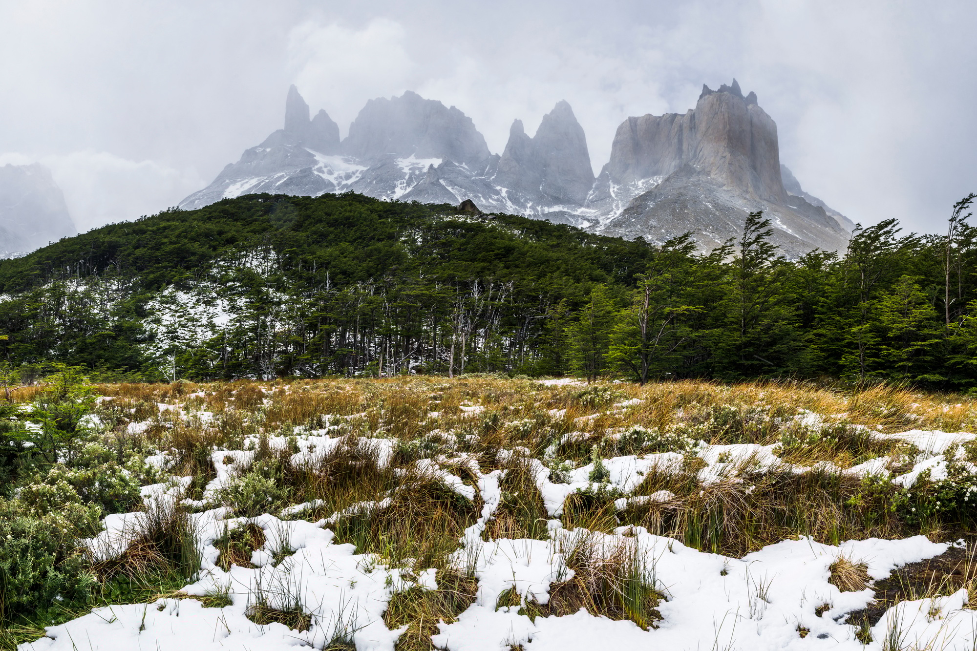 Los Cuernos seen from French Valley (Valle del Frances), Torres del Paine National Park, Patagonia,