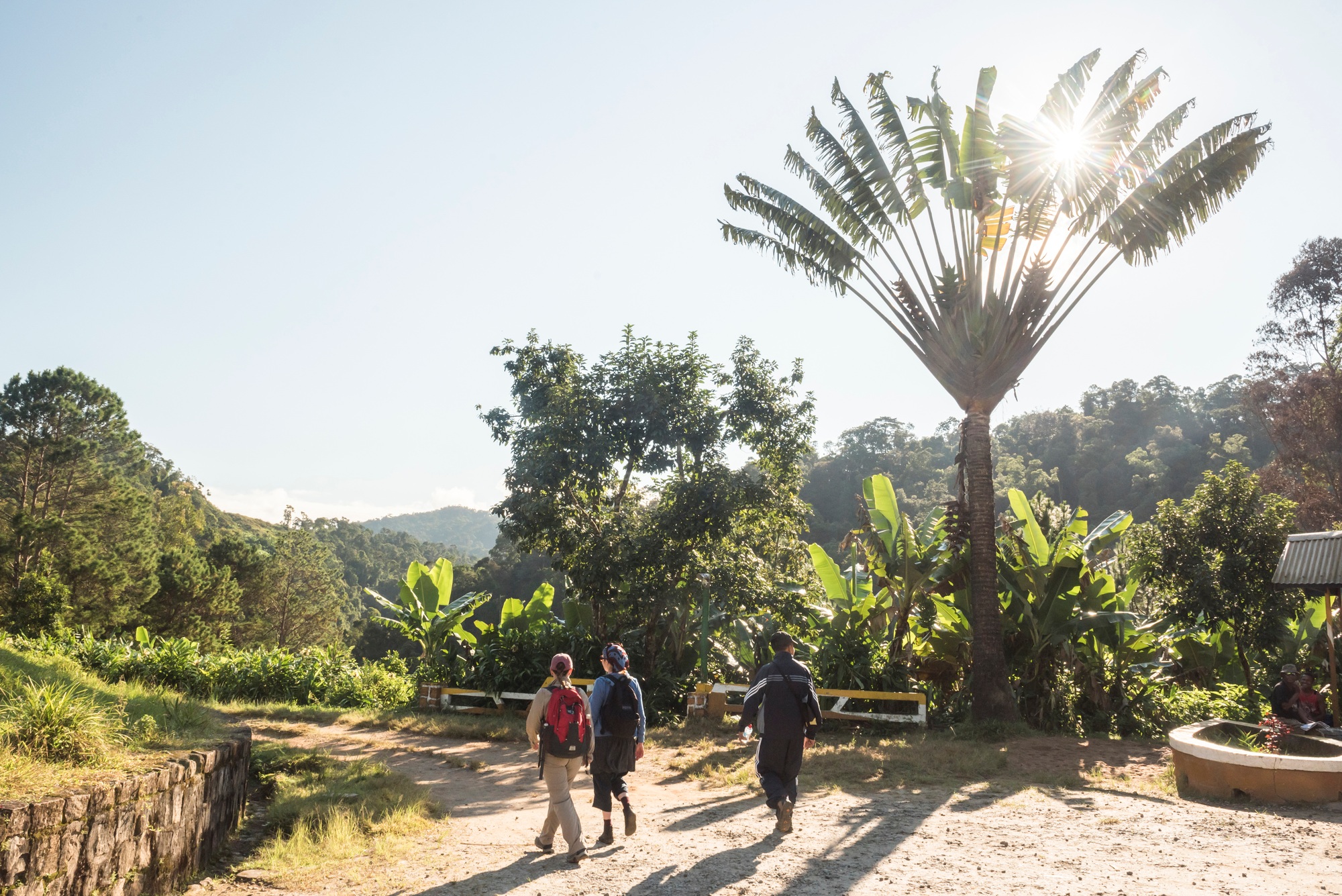 voyager à Madagascar