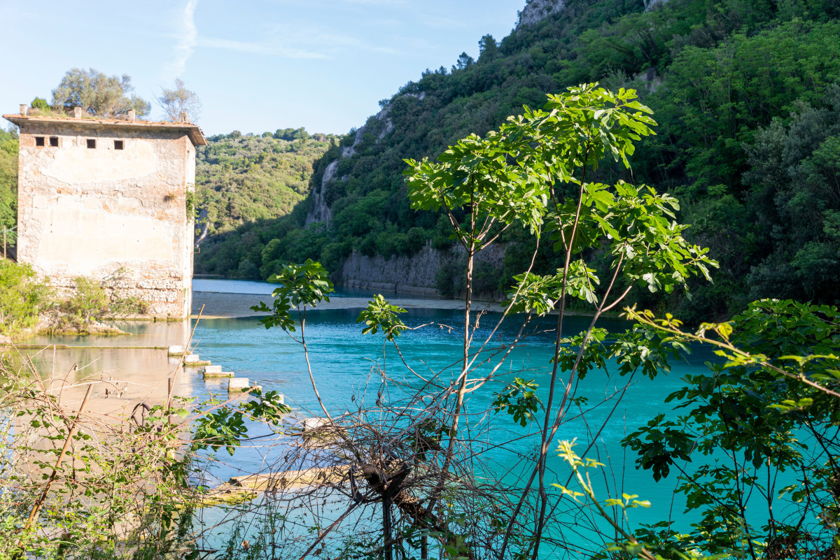 albanie