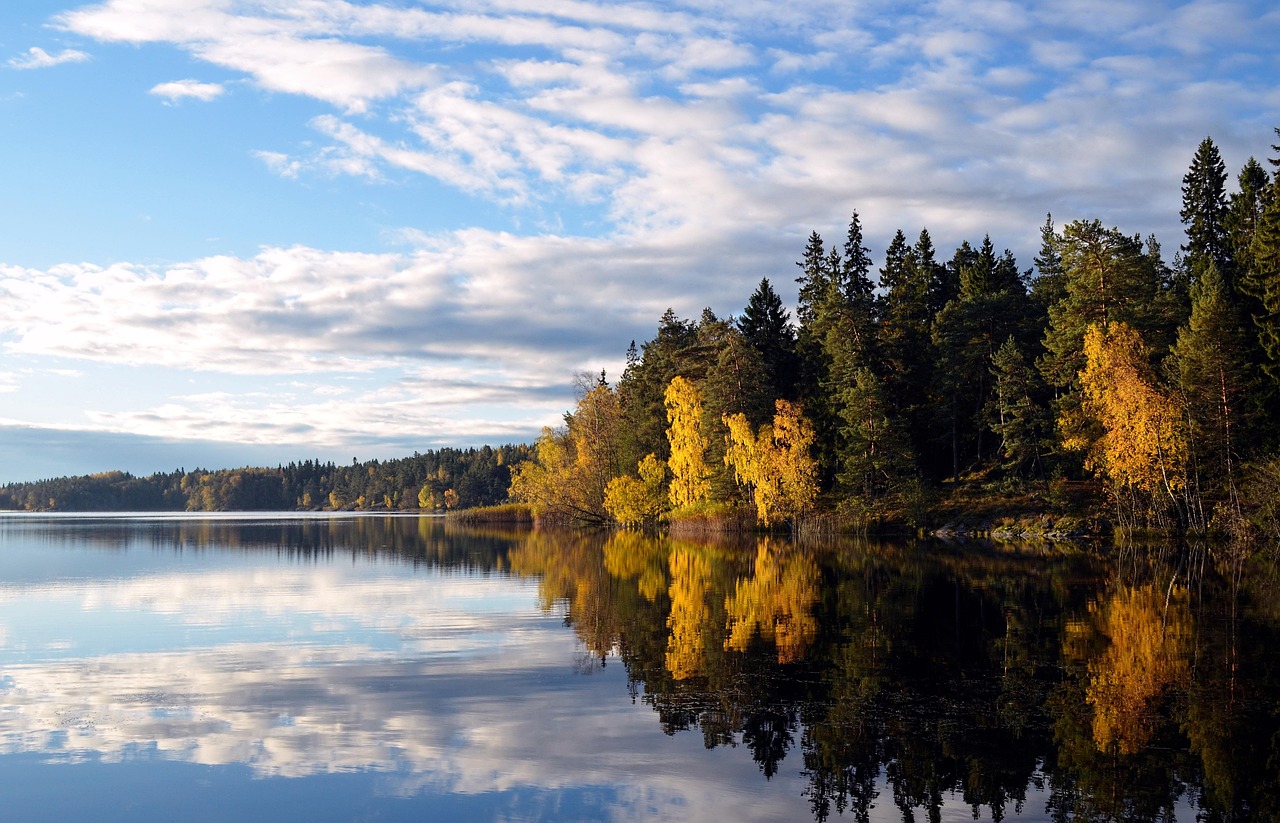 lac
