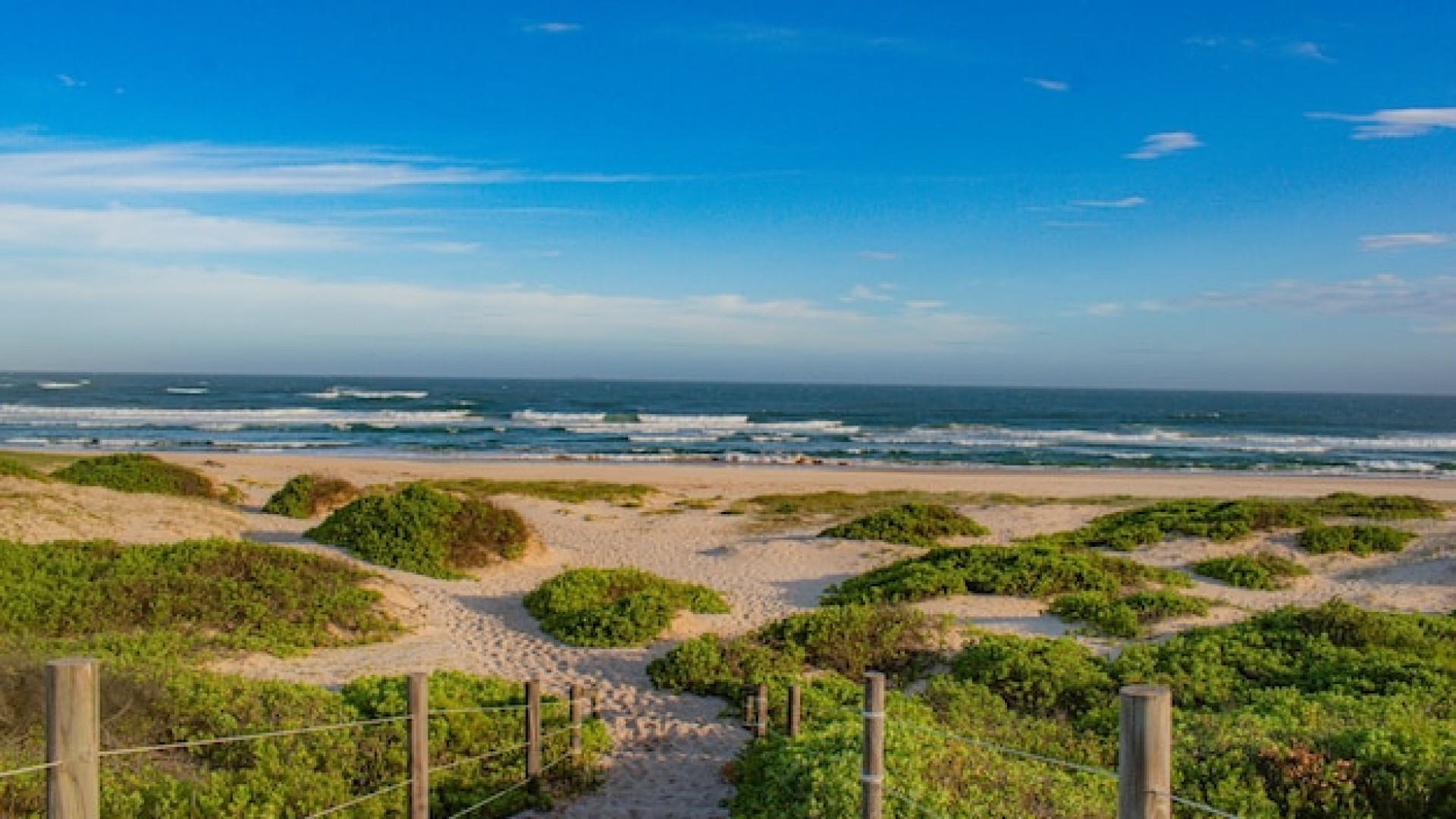 Vacances surf et détente dans les Landes : le guide des meilleurs campings