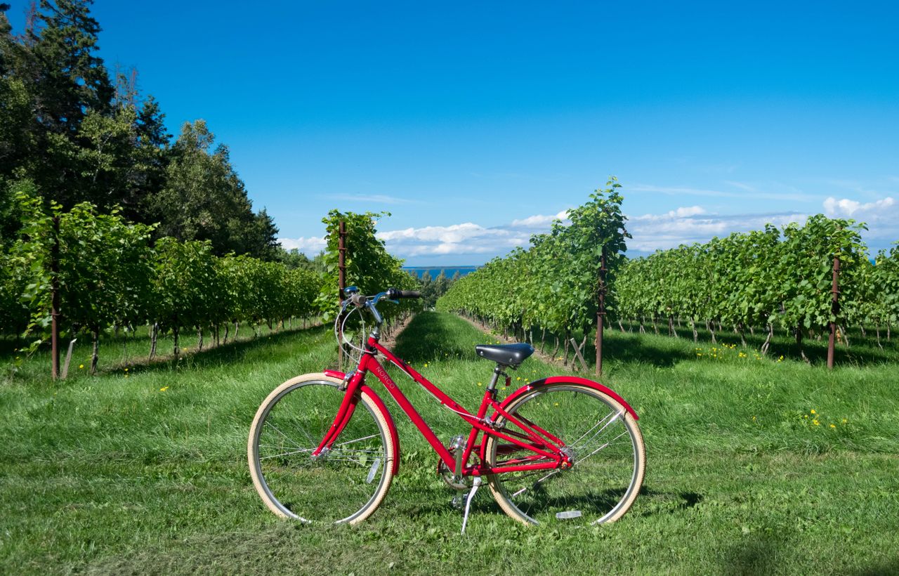 escapade à vélo