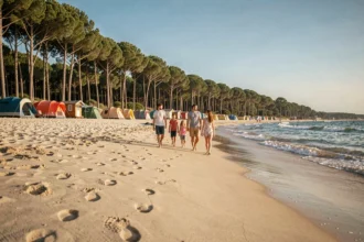 Plage de sable fin en Nouvelle-Aquitaine avec forêt de pins et campings en bord de mer